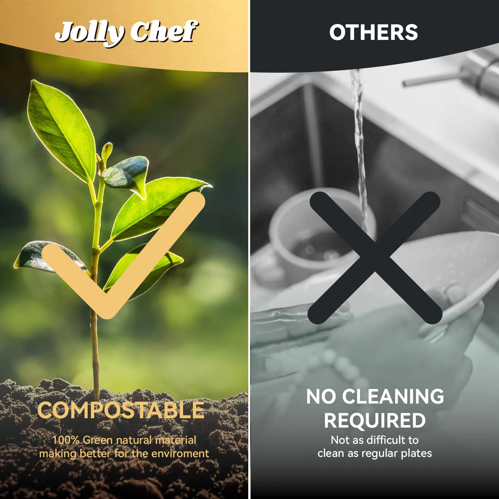 Compostable Square 5 Compartment Plates
