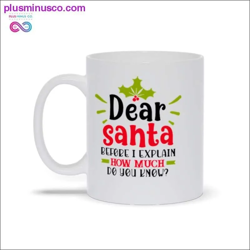 Dear Santa, Before I Explain, How Much Do You Know Mugs
