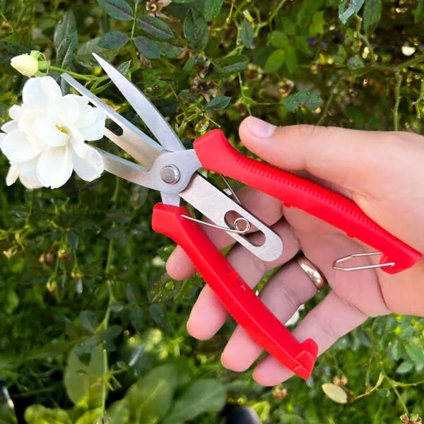 Florano - Innovative plant shears