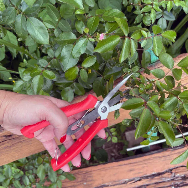 Florano - Innovative plant shears