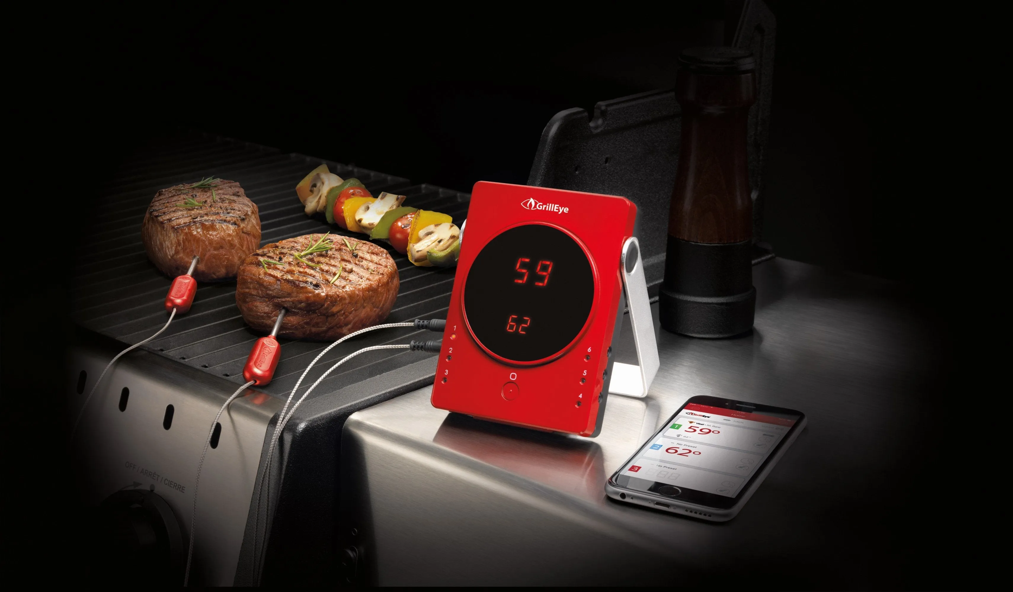 GrillEye Smart Bluetooth Grilling and Smoking Thermometer
