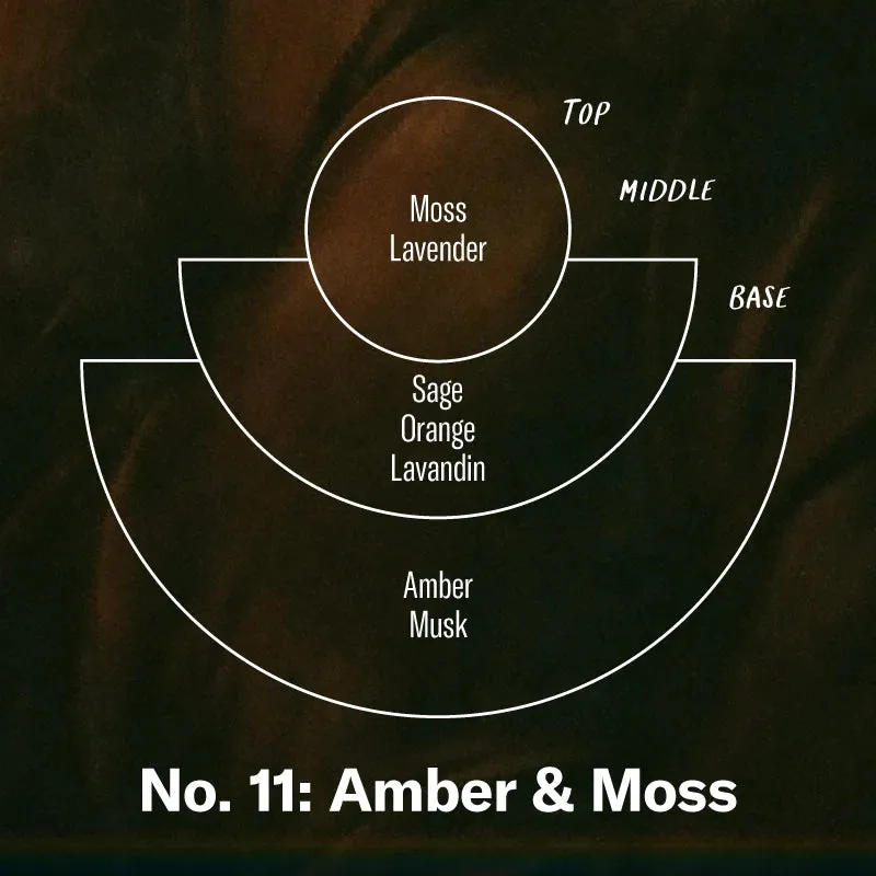 Reed Diffuser (Amber & Moss)